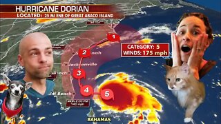 Our Hurricane Dorian Escape with Cats and Dogs! | Florida