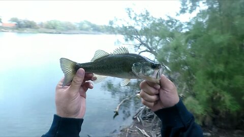 Shaky Head Fishing - (@Bass #Underground - Part 2)