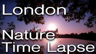 London Lockdown Nature Time Lapse