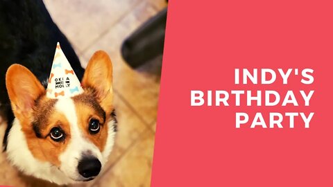 Indy's 8th Birthday! Birthday Cake by Okra & Molly