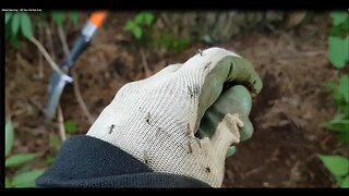 Metal Detecting - 100 Year Old Rest Area
