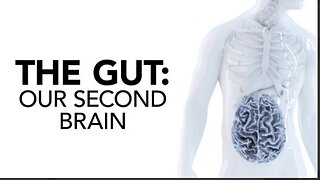 The Gut - Our Second Brain