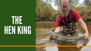 Michigan salmon fishing / King Salmon Fishing Michigan / Salmon Fishing Michigan Rivers