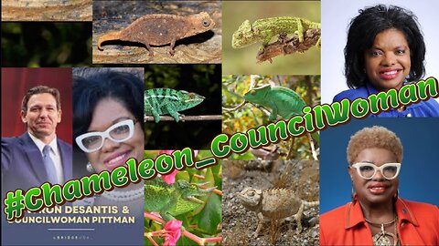 Chameleon CouncilWoman JuCoby Pittman & Ron Desantis Mask On/Off