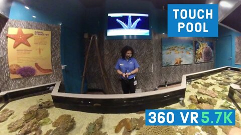 Touch Pool || Episode - 10 || 360 VR Video
