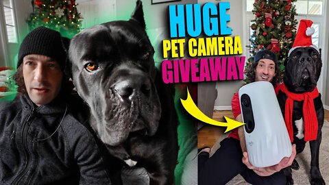 LOSE THE CRATE! Teach Any Dog to Free Roam GIVEAWAY PET CAM