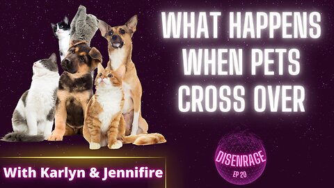 DISENRAGE #20: What happens when pets die/cross over?