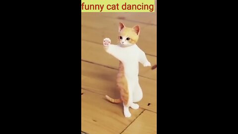 Funny cat dancing💃💃 cute cate dancing on a song