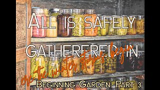 Gardening for Beginners: Part 3