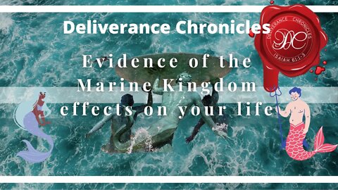 Evidence of the Marine kingdom operation in your life #dlvrnce #marinekingdom #waynetrichards