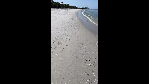 Livestream Clip - Barefoot Beach, FL Before Ian 8/26/2022 PT 4