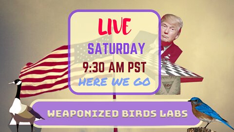 Saturday *LIVE* Weaponized Bird Labs Edition