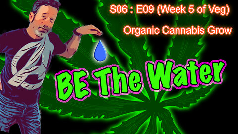 E06 E09 Organic Cannabis Grow (Day #57) Week 5 of Veg || Caring for a Runt || BlueMat Soil Meter