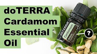 doTERRA Cardamom Essential Oil Benefits and Uses