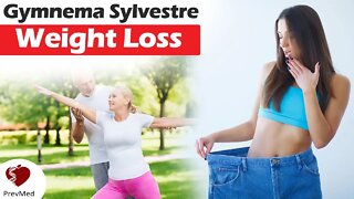 Gymnema sylvestre: Sugar Destroyer & Sweetness Blocker? (Part 2)