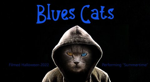 The Blues Cats perform Summertime