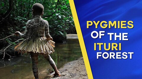 Pygmies of the Ituri rainforest - documentary about the Mbuti People of Congo Zaire (1975)