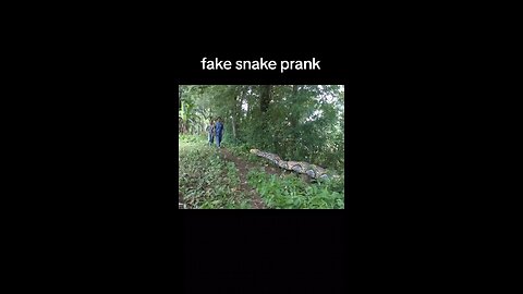 Fake Snake Prank
