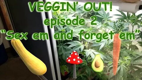 VEGGIN' OUT! w/ PolishHammer Episode 2 "Sex em.......and forget em" This may not end well!! 🥦🍑🍆🔨