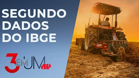 Agro eleva PIB, renda, população e diminui desigualdade