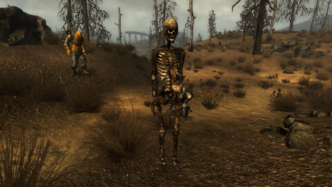 Fallout 3 Bugs (Modded) - I Don't Think Skeletons Are Supposed To Stand Still