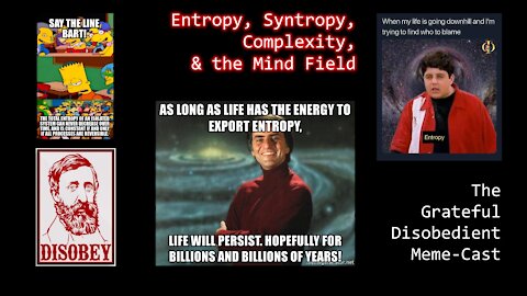 Entropy, Syntropy, Complexity, & the Mind Field