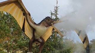 Pterosaur at Dinosaur Park