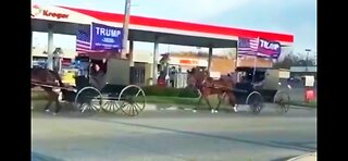 Amish For Trump