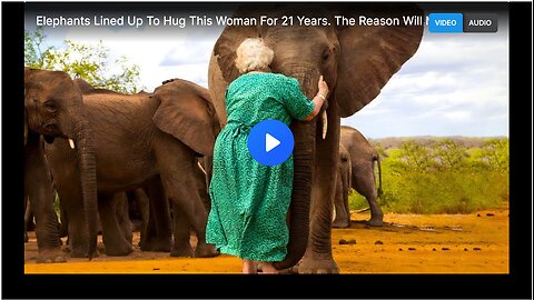 Elephants Lined Up To Hug This Woman For 21 Years. The Reason Will Make You Cry