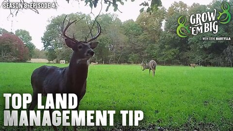 Top Tip for Deer Hunting Property Management