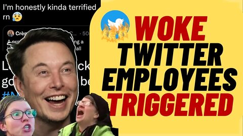 WOKE Twitter Employees Triggered By Elon Musk Buying Stock