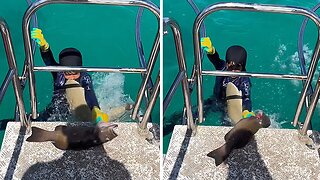 Baby shark tries to steal fish from little boy