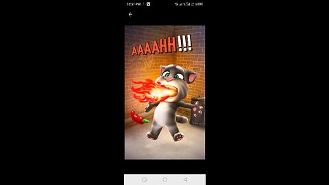 Talking tom video #funy #video #talking #tom #dflowo