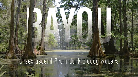 Bayou Sounds for Relaxation and Focus – 2 Hour Loop