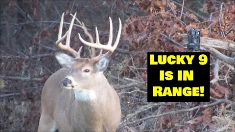 Illinois Deer hunting 2020 VLOG #2. Big buck is in range!