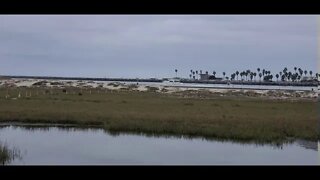 OCEAN BEACH 🌊 ⛱ BOAT 🚢 TRAFFIC