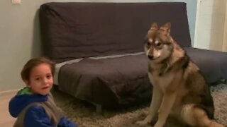Epic howling competition between boy and his wolf
