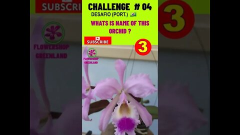 CHALLENGE # 04 |WHAT IS THE NAME OF THIS ORCHID? YOU WANT TO LEARN? #SHORT