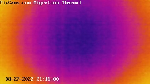 Night migrating birds caught on thermal camera - 8/26/2022 @ 21:15
