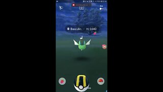 Live Pokémon GO