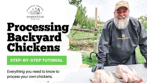 How to process BACKYARD chickens - STEP-BY-STEP