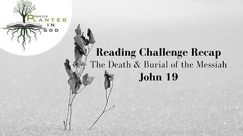 The Death of Messiah | John 19 | Reading Challenge Recap