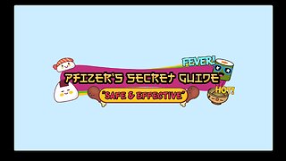 Pfizer's Secret Guide - Steve Kirsch