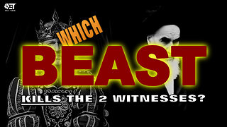 Which BEAST kills the 2 Witnesses as reigning Beast or the Beast's friend? #revelation11 #abaddon