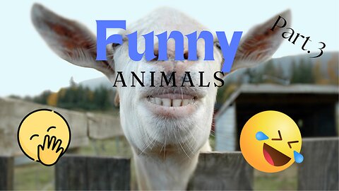 Funny Animal Videos BUT part. 3 🤣😂