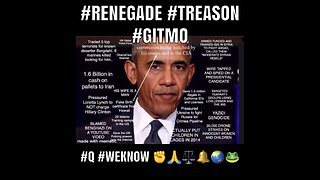 OBAMA RENEGADE TREASON GUILTY DEATH PENALTY