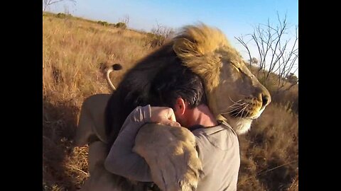 Lion with human, lion and human love ,cuteness overload #1