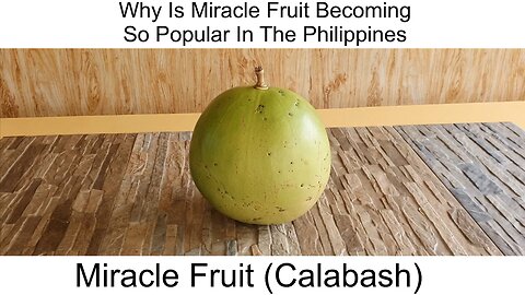 Miracle Fruit