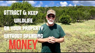 Attract & Keep Wildlife On Your Property Without Spending MONEY