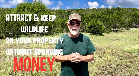 Attract & Keep Wildlife On Your Property Without Spending MONEY